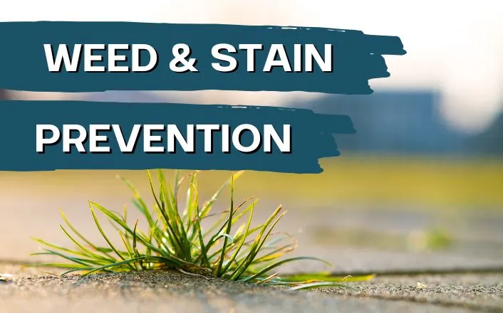weed and stain prevention Dublin