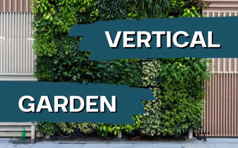 vertical garden for small patios