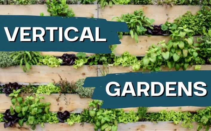 vertical gardens