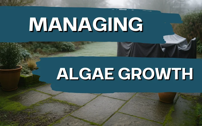 patio winter maintenance algae growth