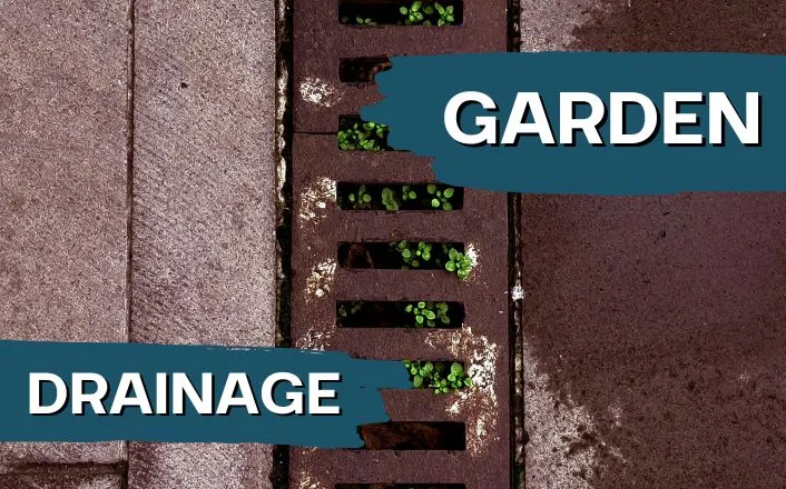 garden drainage dublin