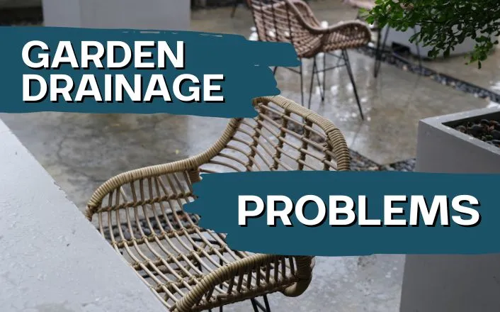 garden drainage problems